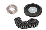 Duplex Timing Chain Kit with Vernier Cam Pulley - 145870K